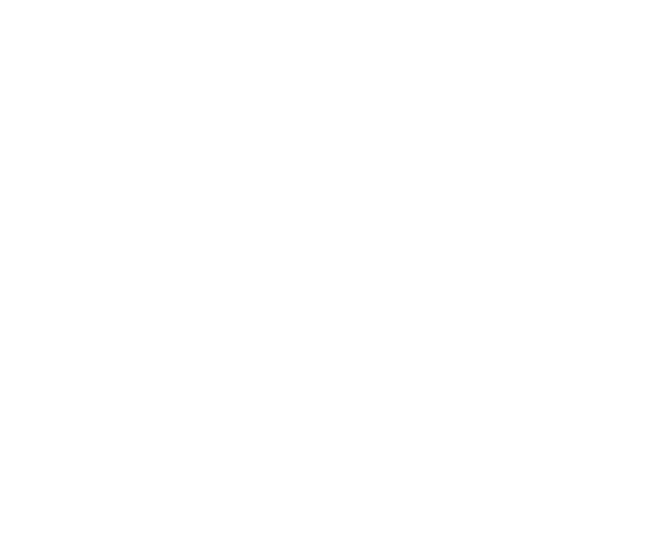 Critter Control