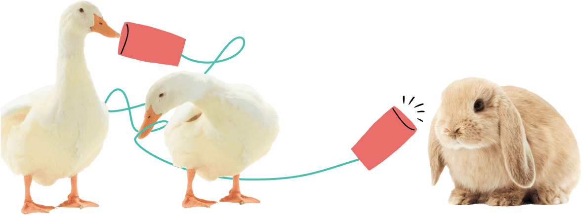 Cloud Veterinary Software ezyVet Cloud Veterinary Software ezyVet