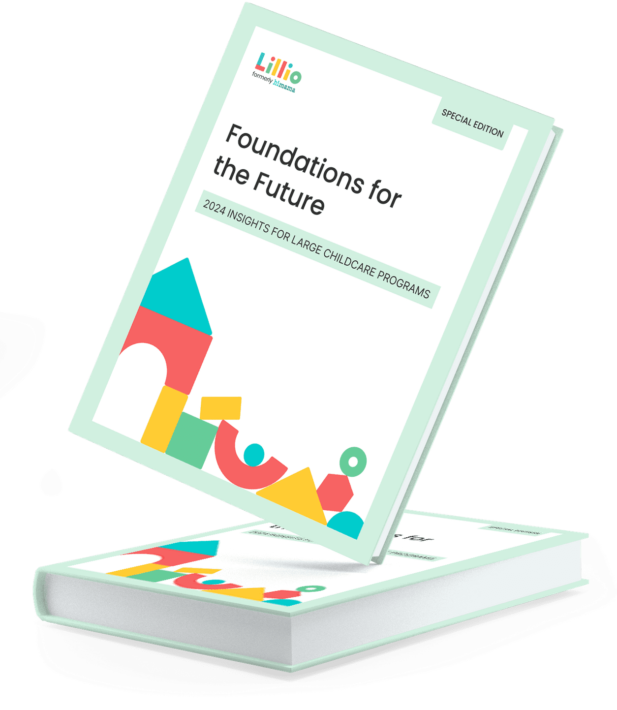 Lillio - Foundations for the Future Report