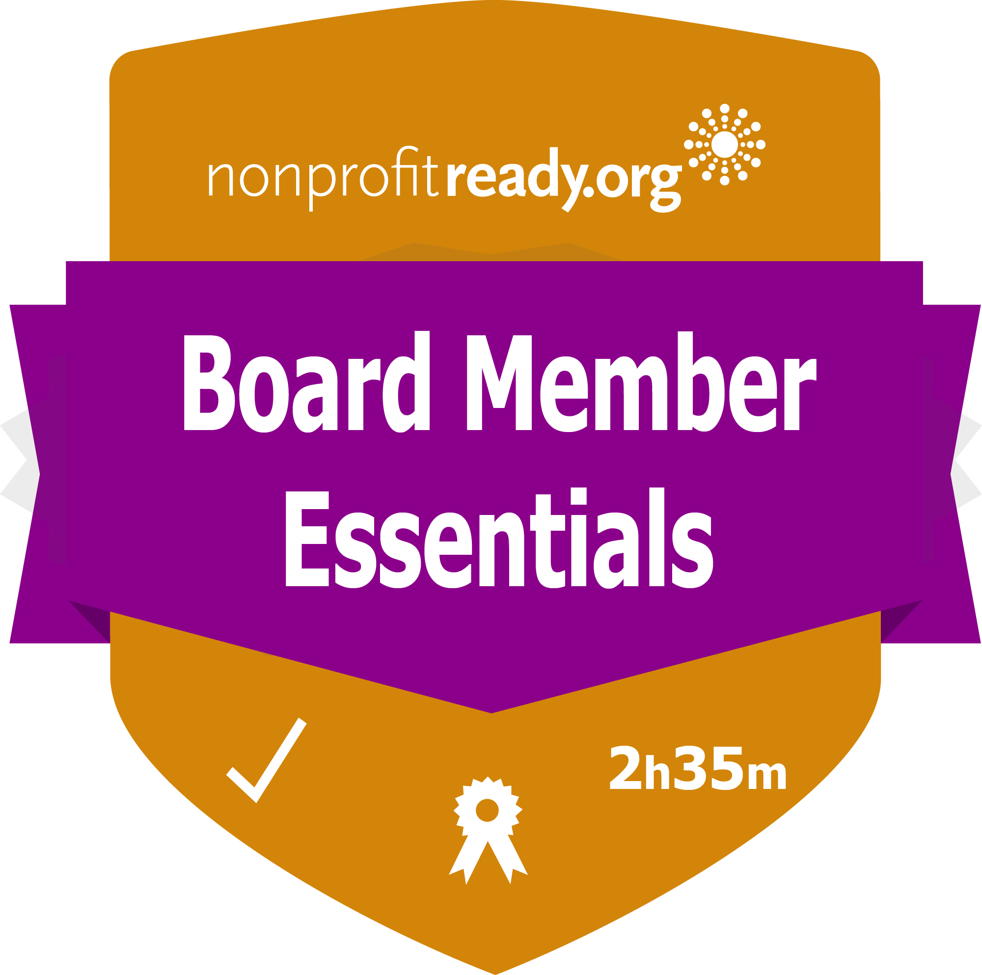 board-governance-in-the-nonprofit-sector-role-performance