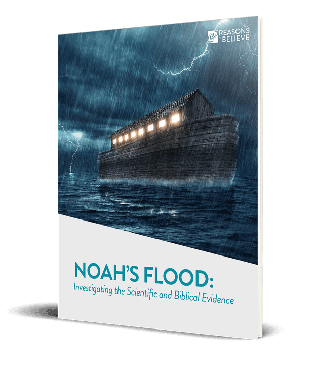 Noah s flood e book