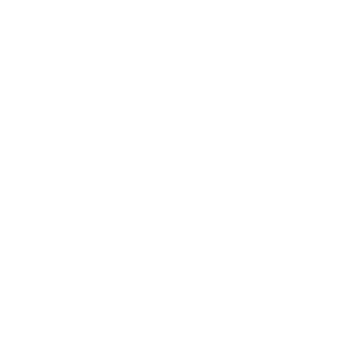 Flexible Policy Options