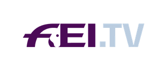 FEI TV Logo