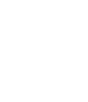 BSN White Icon