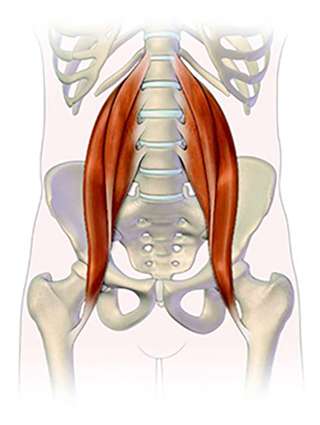 28 Day Golf Body Tune-Up | Golf Body RX (FB)