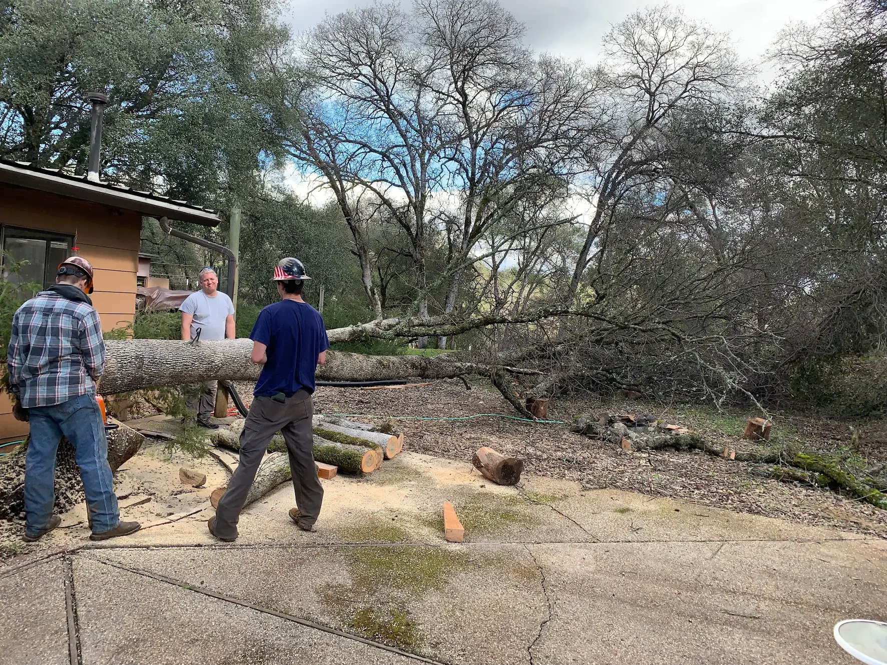 Residential Tree Removal Services
