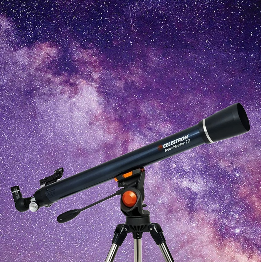 Museums Store Wellington