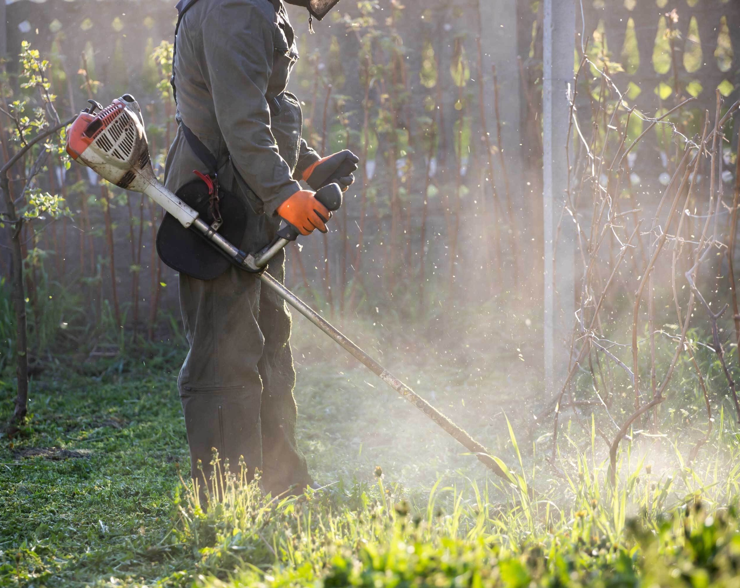 Person cutting grass with trimmer.