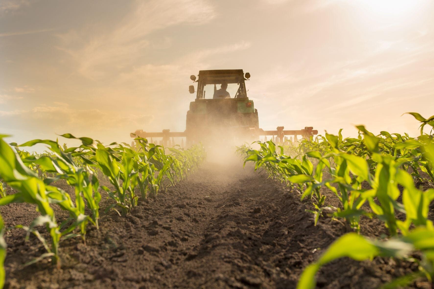 Micronutrient Solutions