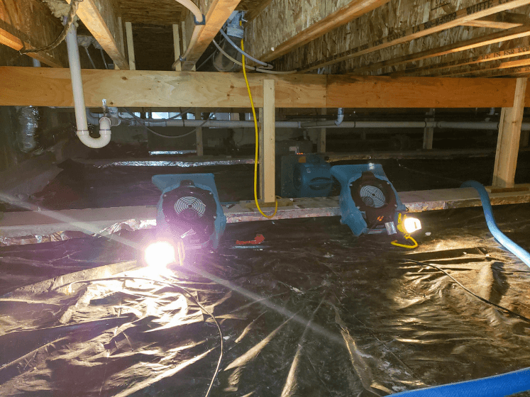 Crawl Space Encapsulation