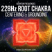 Root Chakra 228