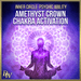 Amethyst Crown Chakra