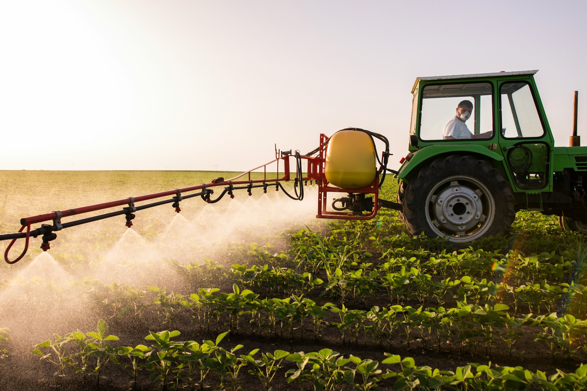 pesticide being sprayed on crops