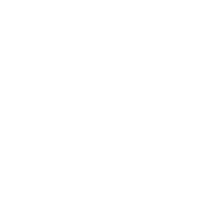 euro