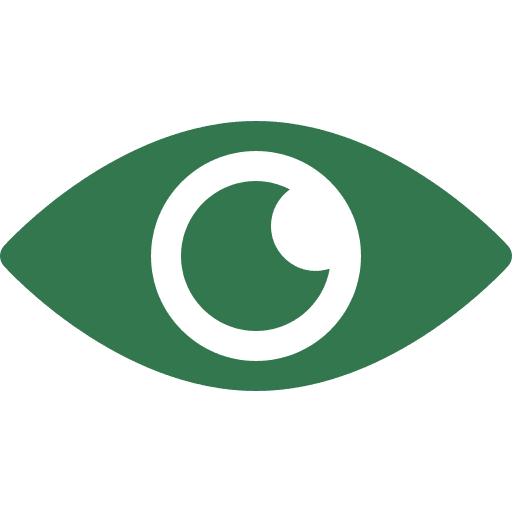 Visual Verification