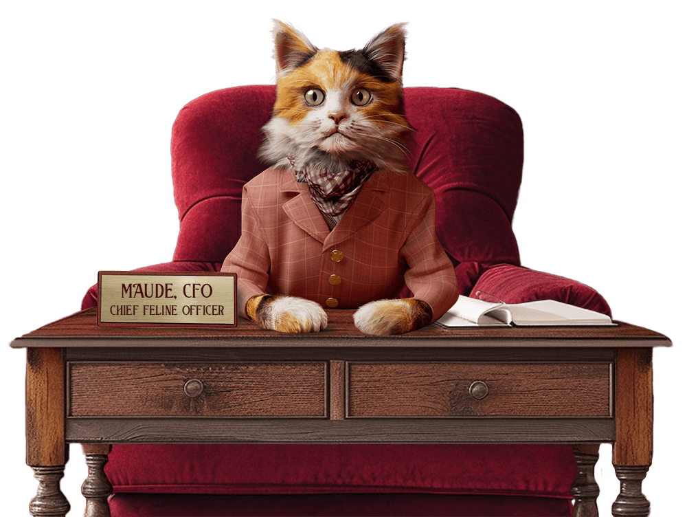 FRESH CAT FOOD fresh-cat-food