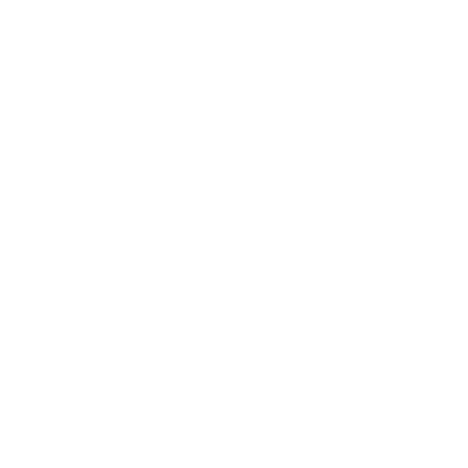 Honest and Respectful Service