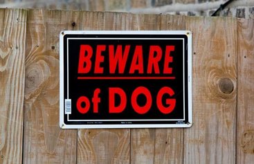 Dog Bite Injury Lawyers