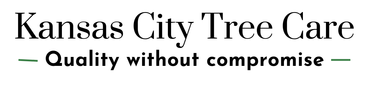Kansas City logo