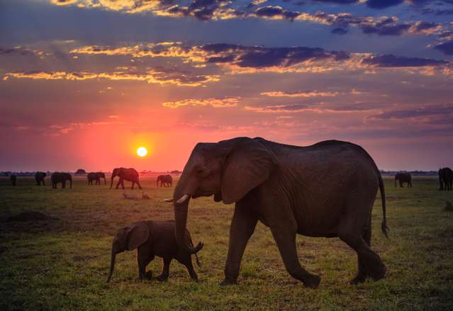 Safari.com - 5 Day Luxury Combo Safari in Kruger Park and Sabi Sands