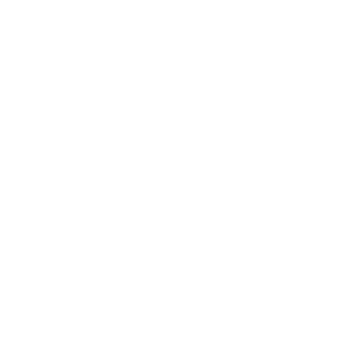 Customized Search Strategy