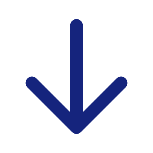 Chute Arrow Icon