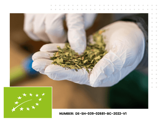 feuilles de thé et certification bio
