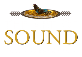 The Art of Sound | M.S. Rau