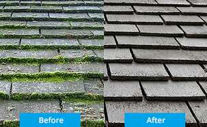 https://d9hhrg4mnvzow.cloudfront.net/landing.wetandforget.com/rated-best-roof-moss-remover/8db7eb60-img-9544_08f05600000000000001o.JPG