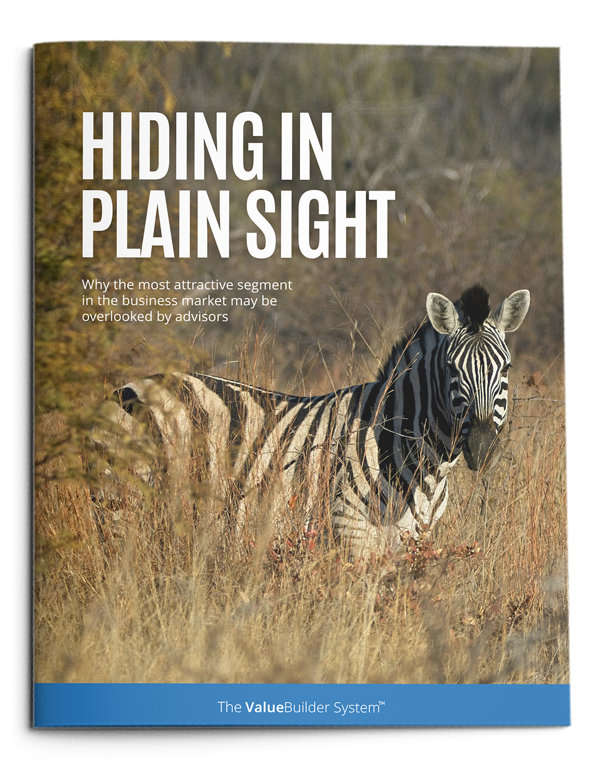 Hiding in Plain Sight Whitepaper