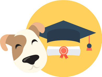 Private Dog Training