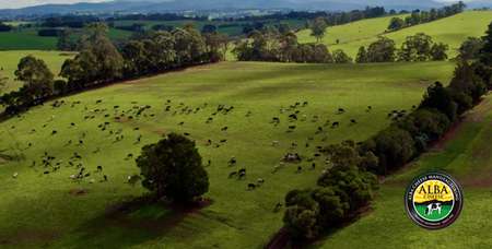 An example of our video production capabilities in Melbourne