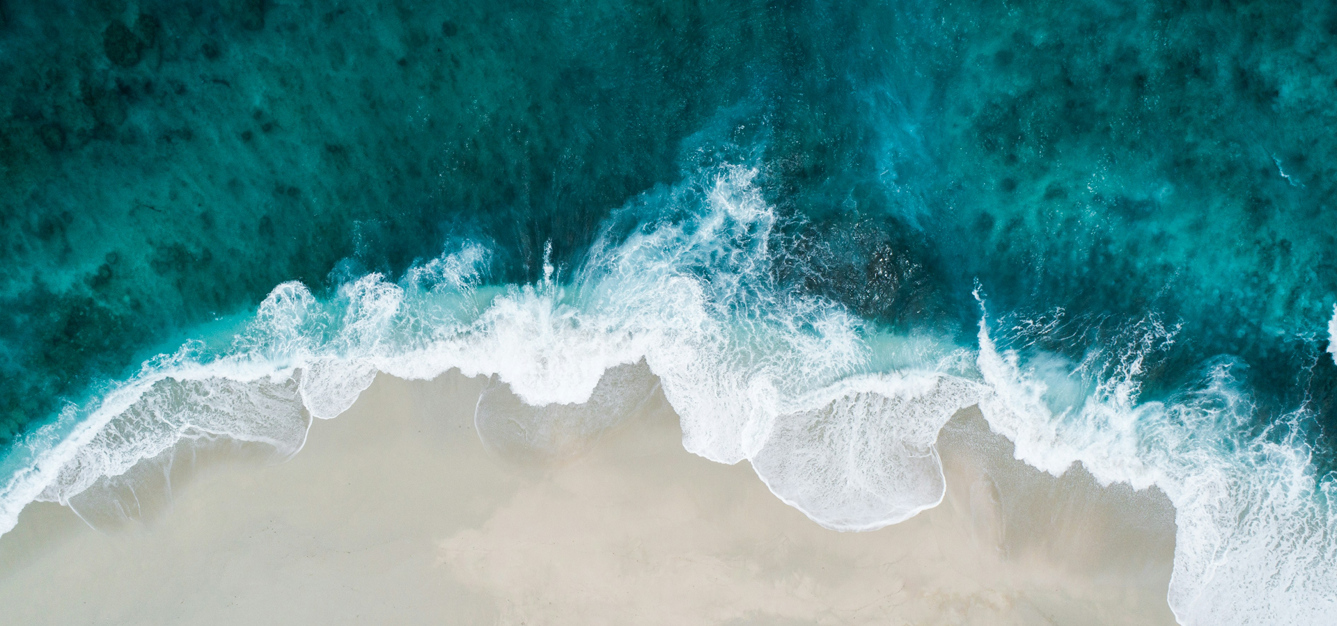 Especialista MediCapilar — Transplante Capilar iFUE