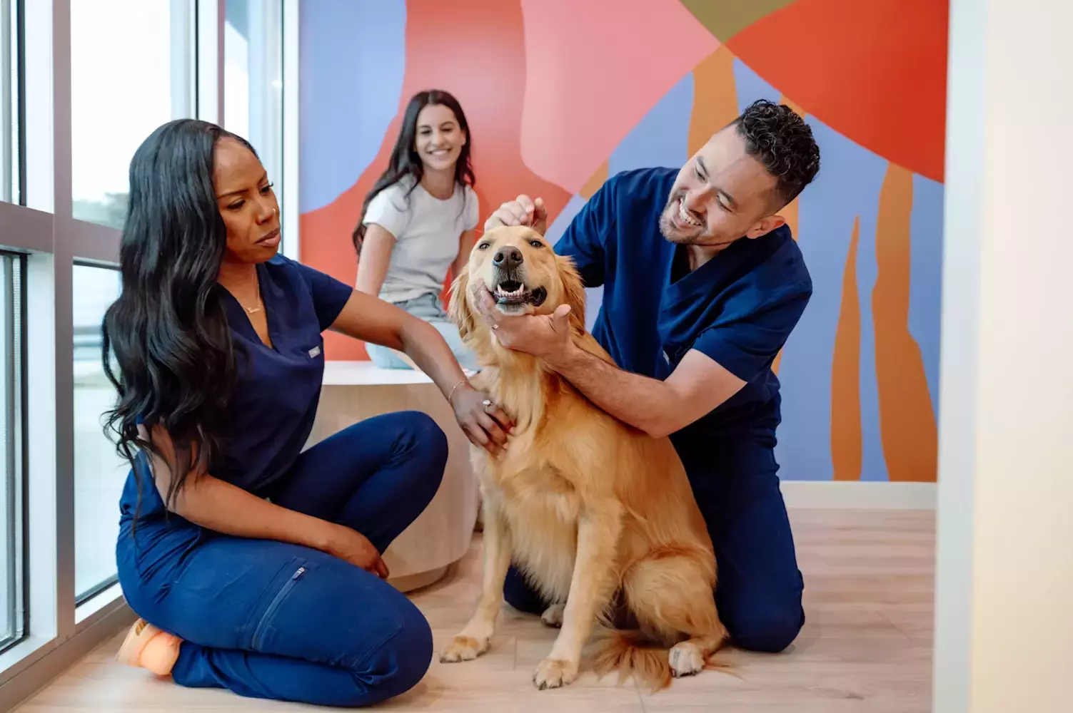 Veterinary care
