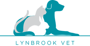 Desexing Cost for Dogs & Cats | Lynbrook Vet