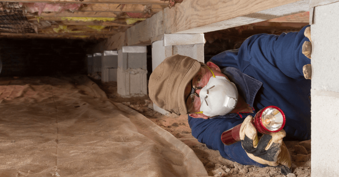 Crawlspace Cleanup