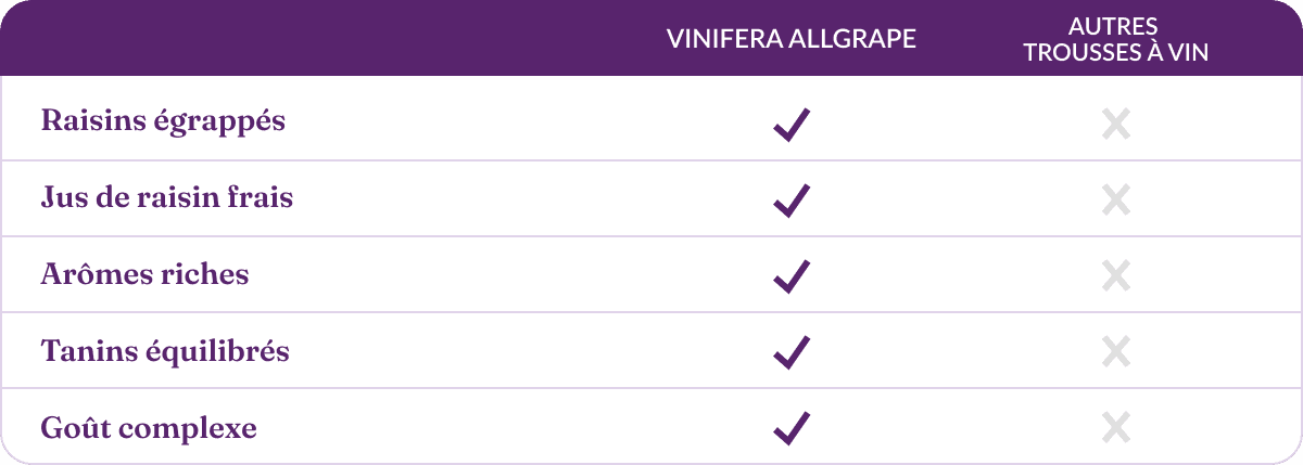 vinifera-allgrape-vs-kits-de-vin