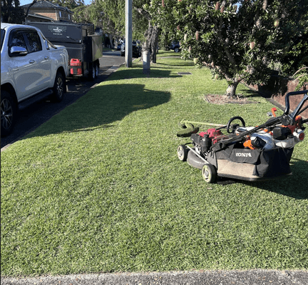 Lawn mowing
