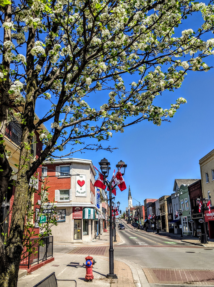 Welcome To Main Street Newmarket Ontario | Newmarket BIA