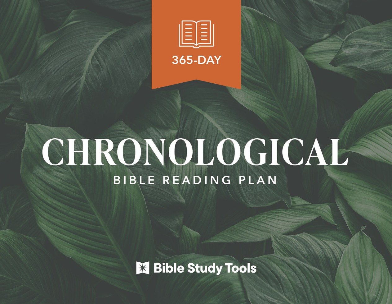 365-Day Chronological Bible Reading Plan