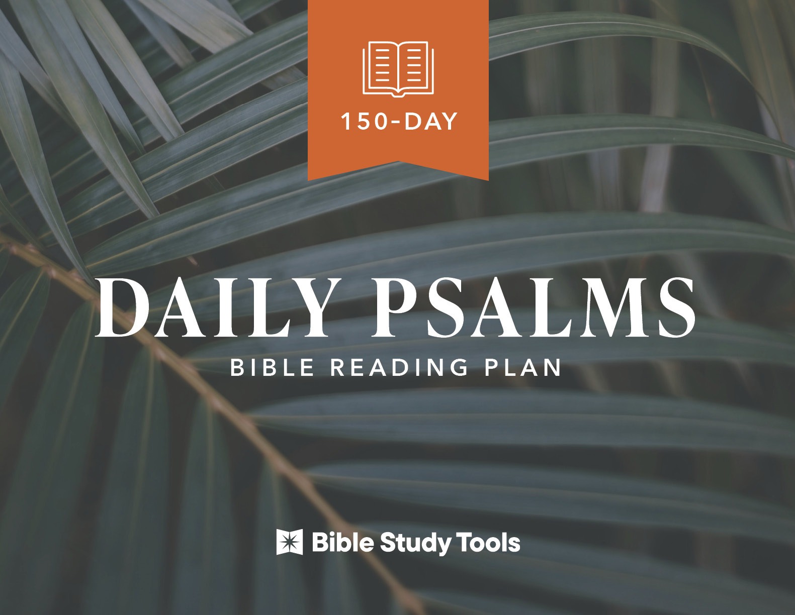 Daily Psalms Bible Reading Plan