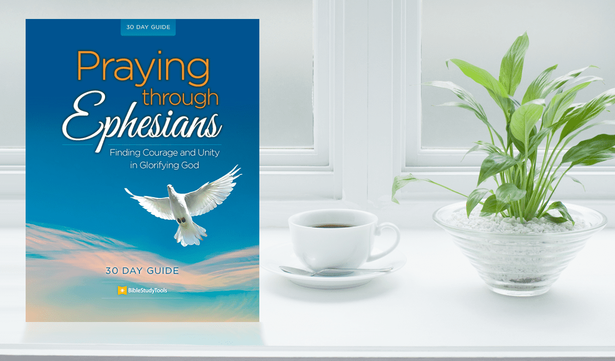 Plus get daily inspiration and special offers from biblestudytools