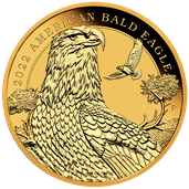 3e86d387-05-2022-american-baldeagle-1-4oz-gold-bullion-coin-straighton-lowres-1_104r04r000000000000028.png