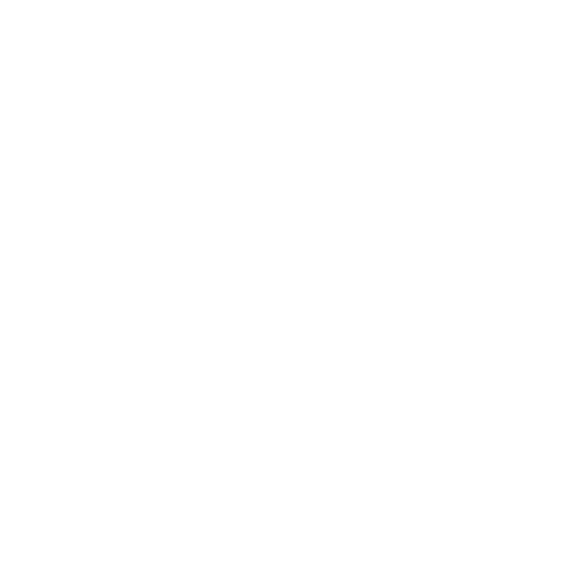 Complete Project Support