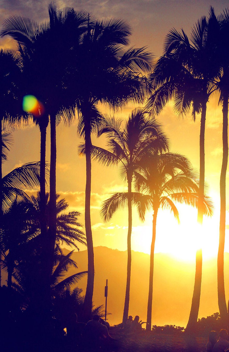 Opportunity Zone Map OZPros - 0d52ef1c Hawaii Oz 10000000og11i02s000000