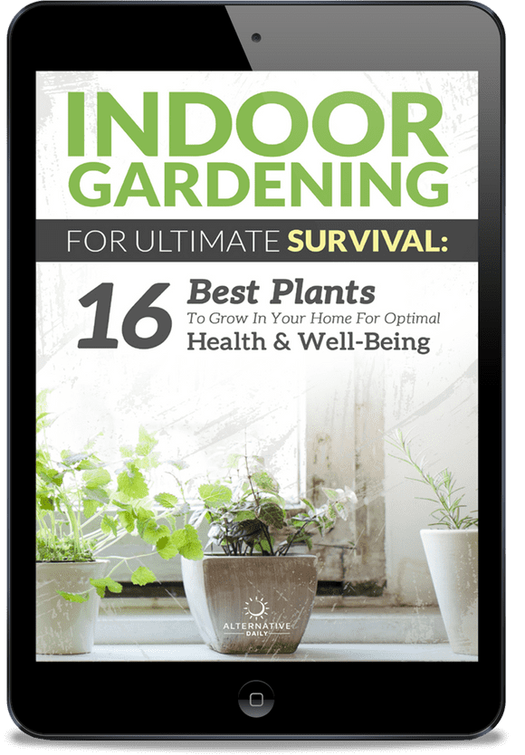 16 Best Plants To Grow In Your Home