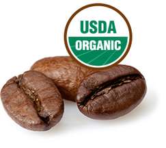 Coffee Could Be the Next Rainforest “Breakthrough” That Changes How We ...