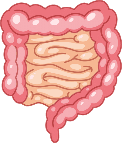 Probiotic