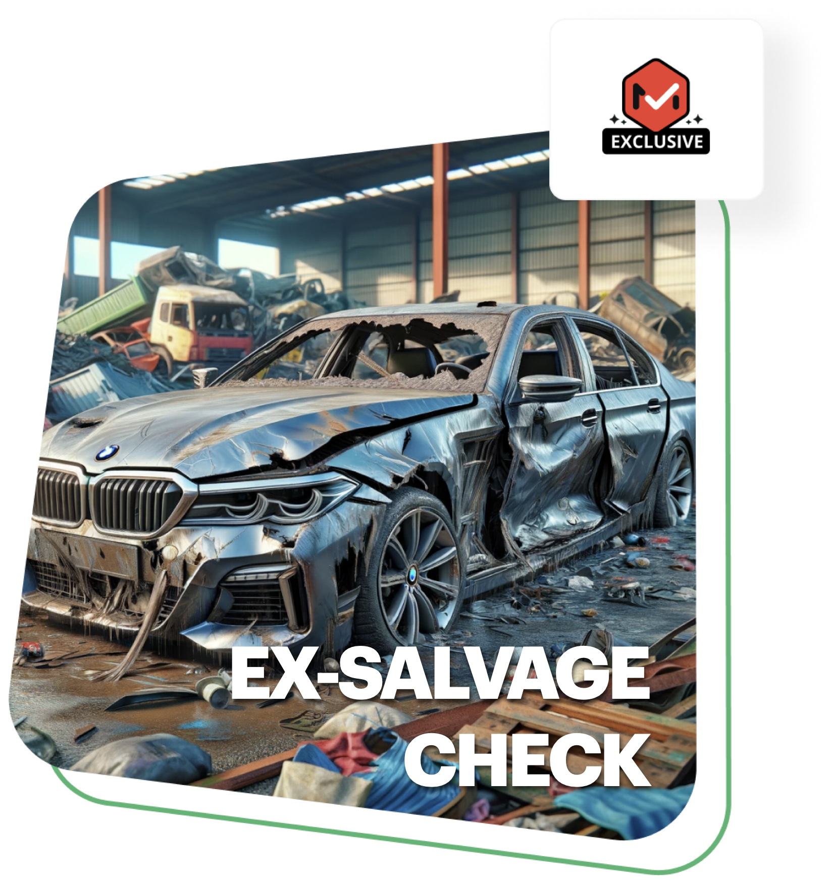 Every report comes with our unique Ex-Salvage Check