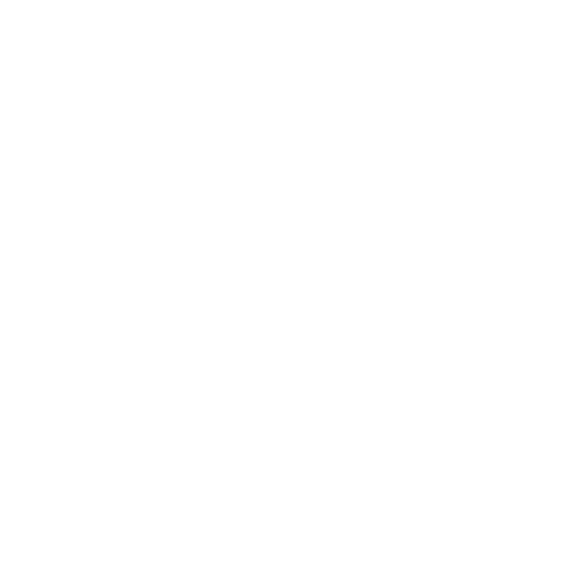 Outstanding Service Icon